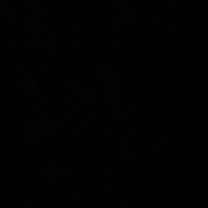 Meet your Posher, Brittney